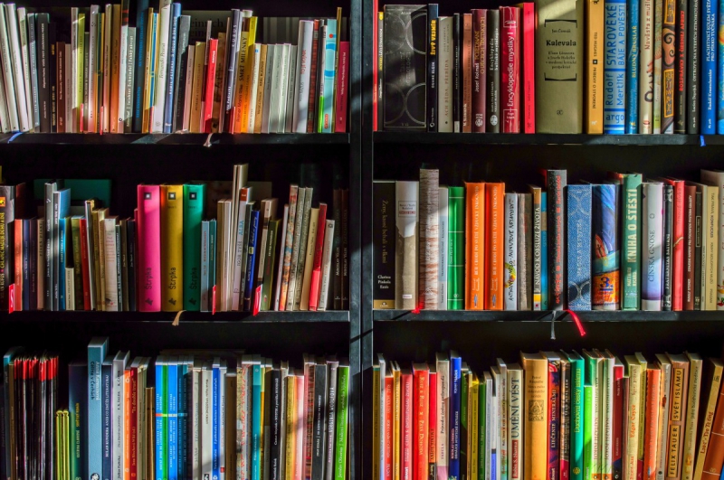 ecommerce-HYERES-min_books_bookstore_book_reading_shop_writer_sale_books_read-822866